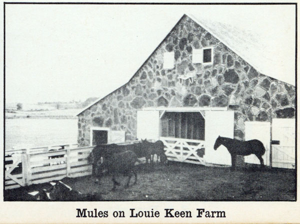 Keen Mules